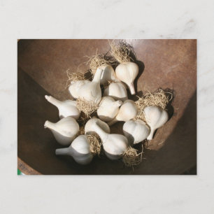 Frischer Knoblauch am Postkarte