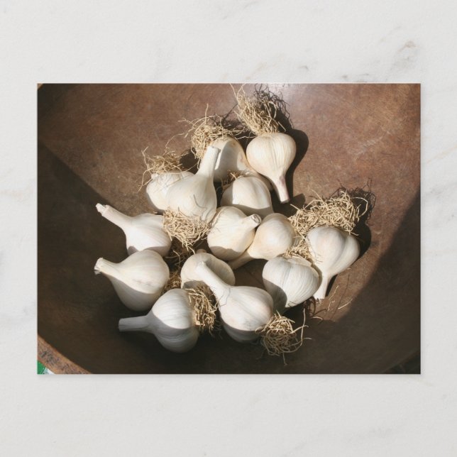 Frischer Knoblauch am Postkarte (Vorderseite)
