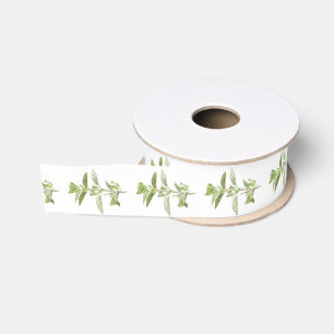 FRISCHER OREGANO 3,8 cm breites Grosgrainband Ripsband