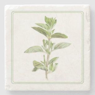 FRISCHER OREGANO Marmorstein Untersetzer (-text)
