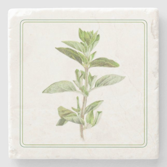 FRISCHER OREGANO-Marmorstein-Untersetzer (-text) Steinuntersetzer (Vorderseite)