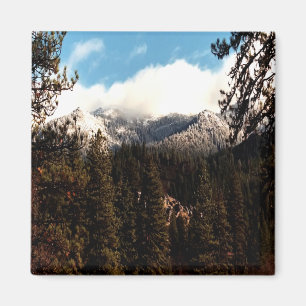 Frischer Pulverschnee auf Yolla Bollies...... Magnet