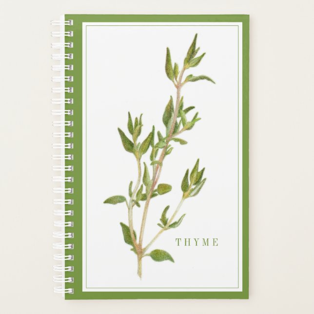 FRISCHER THYME 5.5x8.5 Planer / Grün (Vorderseite)