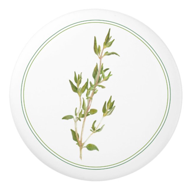 FRISCHER THYME-Keramik Keramikknauf (Vorderseite)