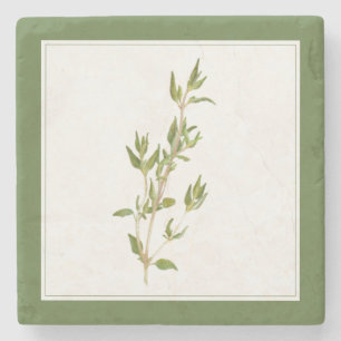 FRISCHER THYME Marble Stone Untersetzer (-text) Gr