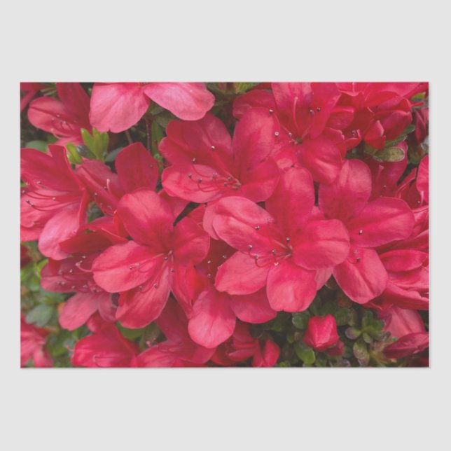 Frisches Blumenzapier Seidenpapier (Vorderseite)