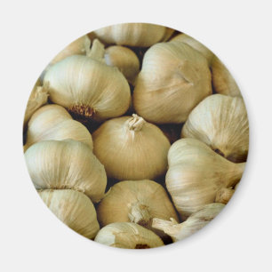 Frisches Knoblauch Foto Magnet