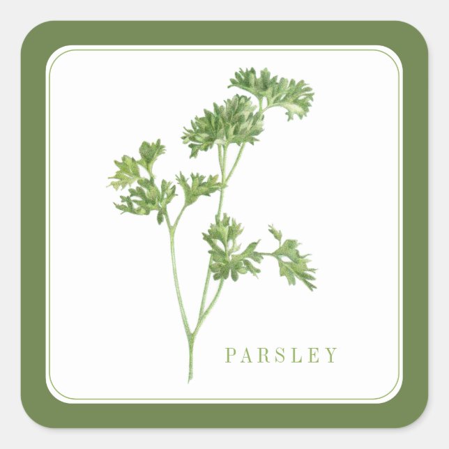 FRISCHES PARSLEY Kleine Aufkleber auf dem Platz -  (Vorderseite)