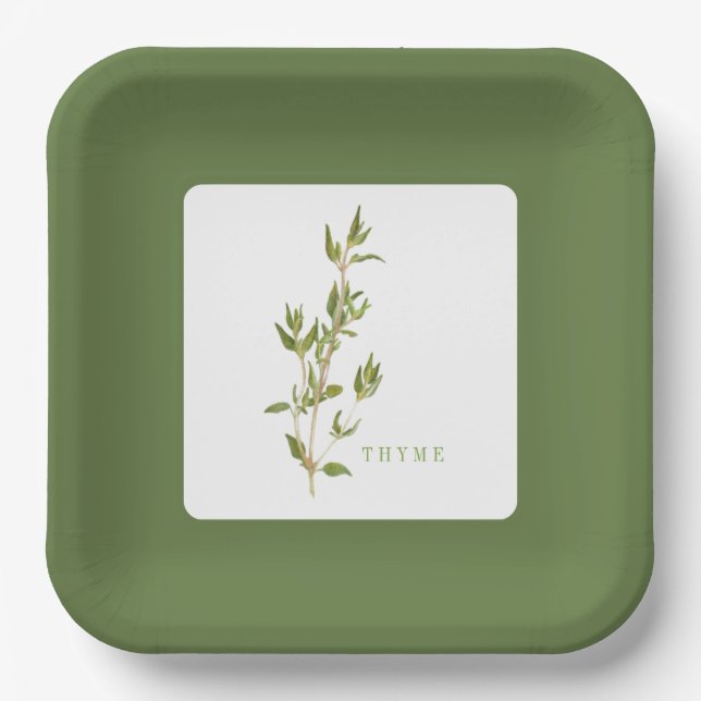 FRISCHES THYME 9" Square Paper Teller - Green (Vorderseite)