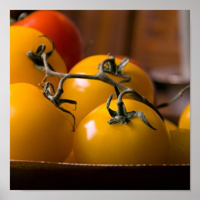 Frisches Tomat Poster (Vorne)