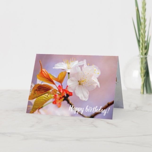 Frisches Weißes Kirschblüten Niedlich Sakura Schön Karte (Vorderseite)
