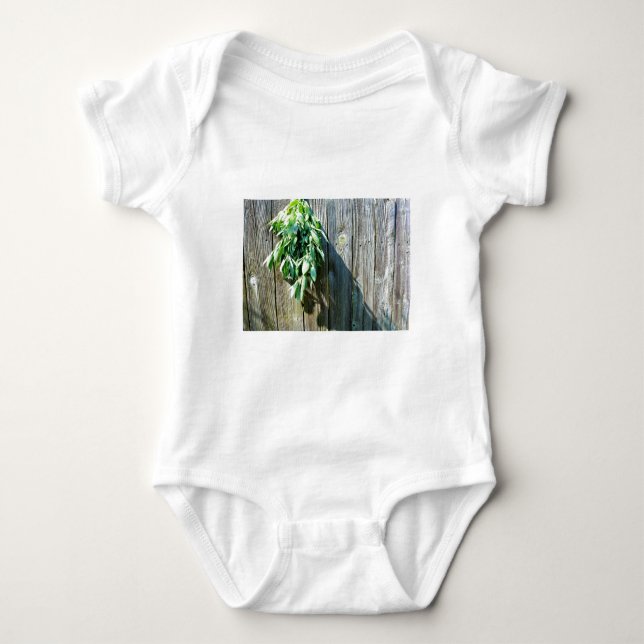 Frischholz Baby Strampler (Vorderseite)
