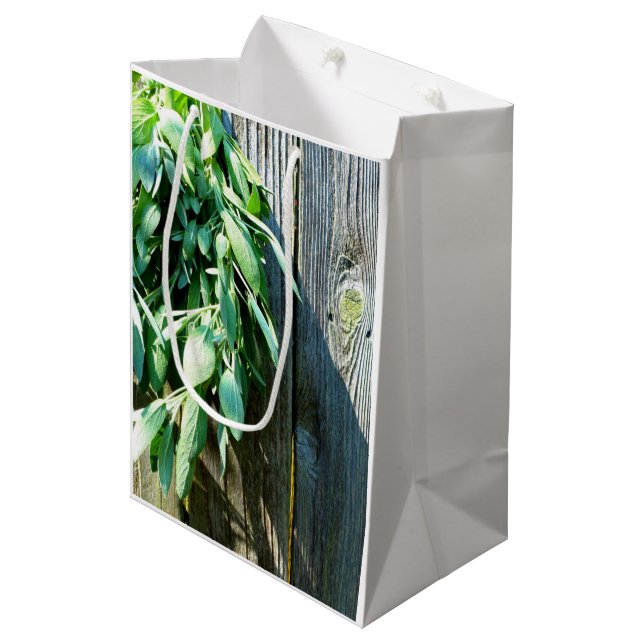 Frischholz Mittlere Geschenktüte (Vorderseite Schrägansicht)