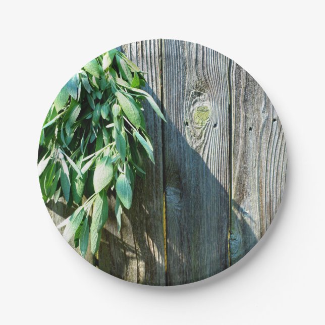 Frischholz Pappteller (Vorderseite)