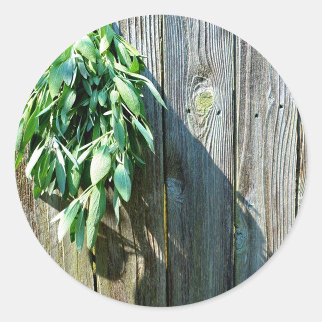 Frischholz Runder Aufkleber (Vorderseite)