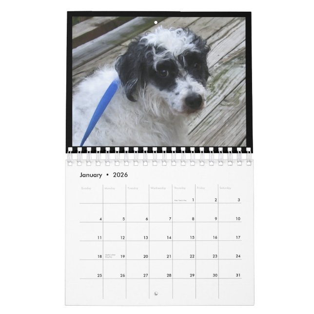 Frischhunde-Kalender 2012 Kalender (Jan 2026)