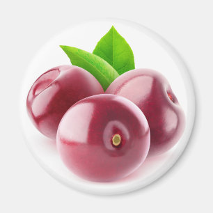Frischkirschen Magnet