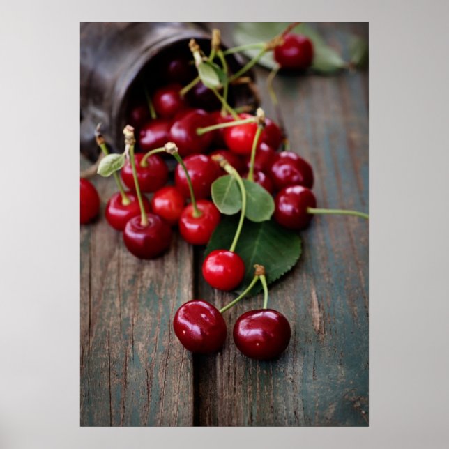 Frischkirschen Poster (Vorne)