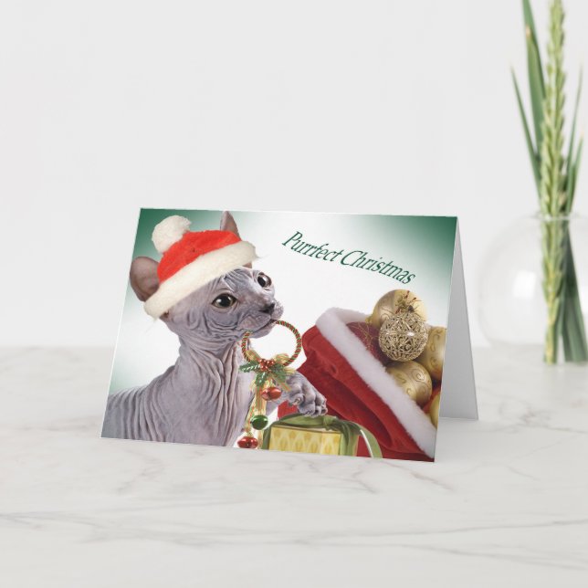 Frischlose Sphynx Weihnachtskarten Feiertagskarte (Vorderseite)