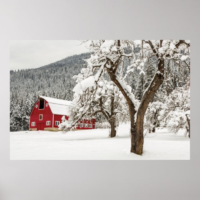 Frischschnee auf roter Scheune Poster (Vorne)