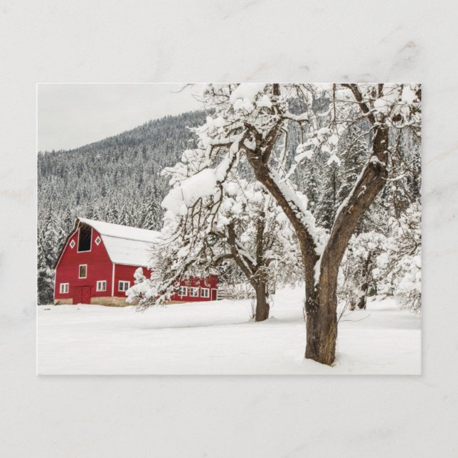 Frischschnee auf roter Scheune Postkarte (Vorderseite)