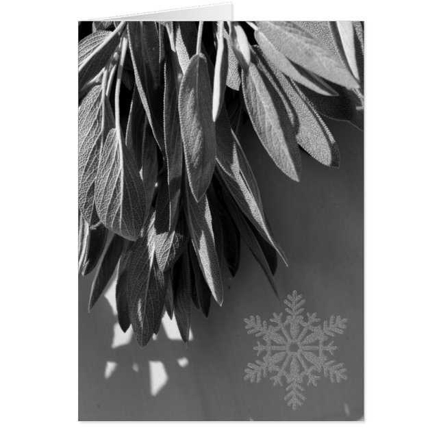 Frischschnitt (Vorne)