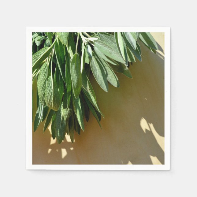 Frischschnitt Serviette (Vorderseite)