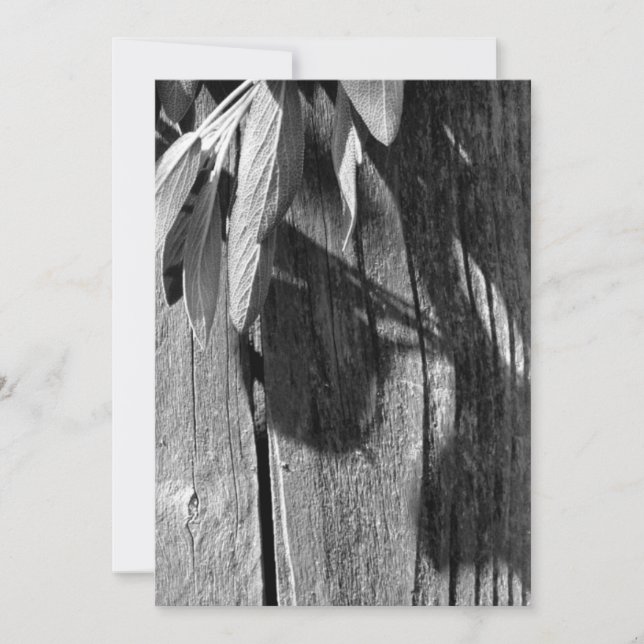 Frischschnitzel-Schnittholz-Graustufen (Vorderseite)