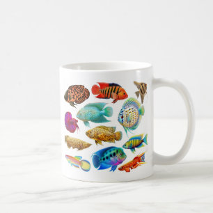 Frischwasseraquarium fischt Tasse