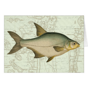 Frischwasserfische auf Karte