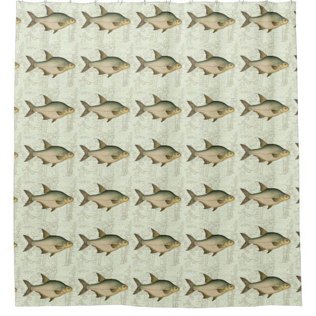 Frischwasserfische auf Karte Duschvorhang (Vorderseite)