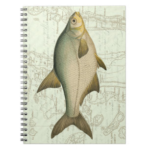 Frischwasserfische auf Karte Notizblock