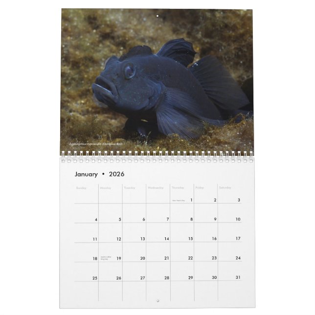 Frischwasserfische von Kalender Mexikos 2011 (Jan 2026)