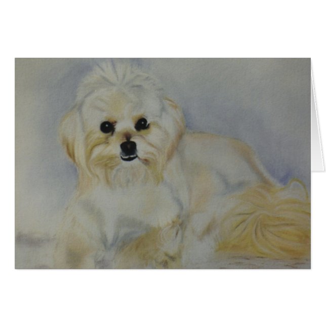 "Frisky" (Devant horizontal)