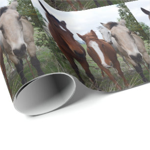 Frisky Hair: Delikate Pferdeschwanze, Geschenkpapier