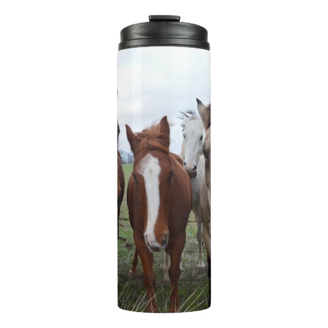 Frisky Hair, Four Horse Pals, Thermosbecher (Vorderseite)