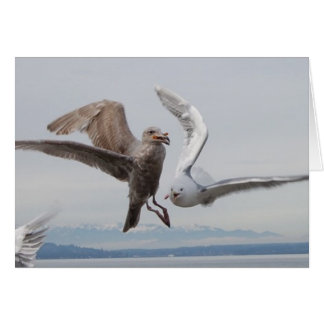 frites de liberté 2