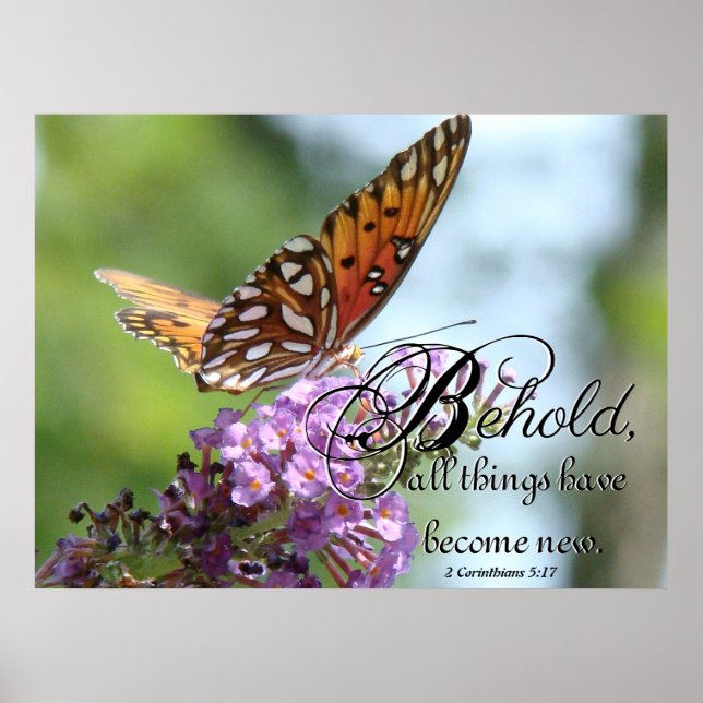 Fritillary Butterfly Blume New Creation Poster (Vorne)