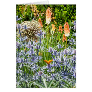 Fritillary Butterfly im Sommergarten