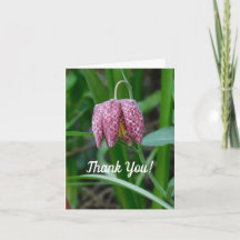 Fritillary Danke-Card