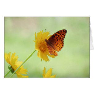 Fritillary Fun - Schmetterling