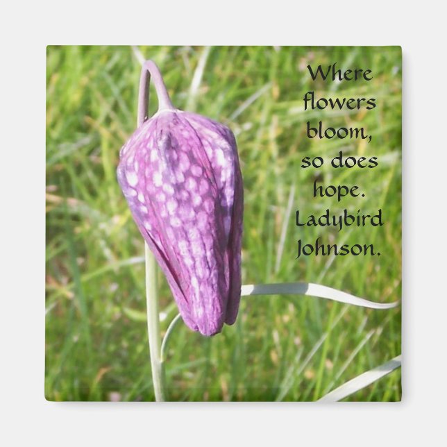 Fritillary Magnet (Vorne)