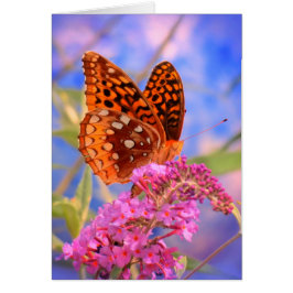 Fritillon sur Bleu - Bright Butterfly