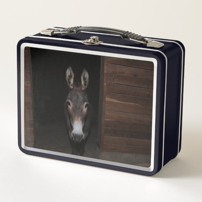 Frito der Donkey Metall Brotdose (Vorderseite)