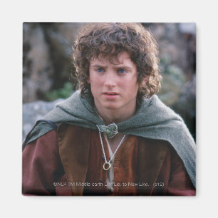 FRODO™ MAGNET