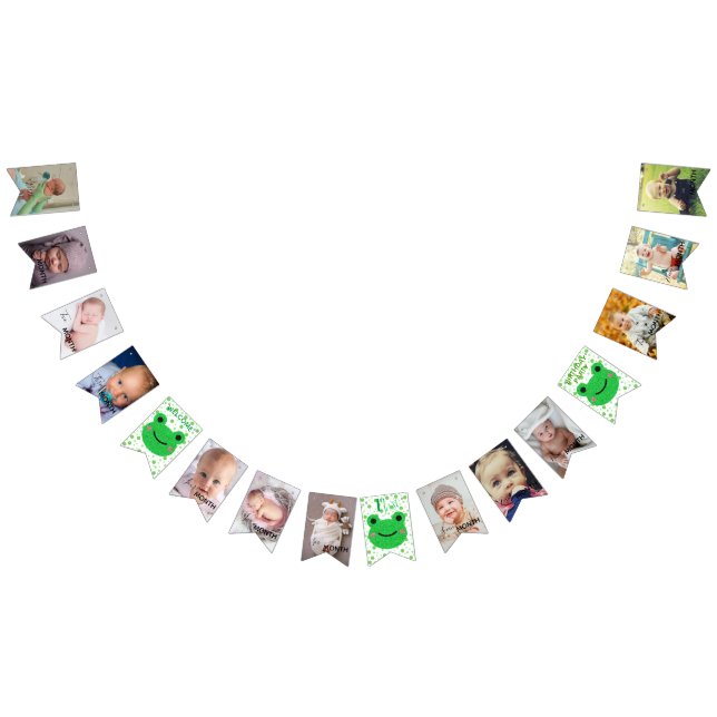 Frog 1. Geburtstag Party bunte Fahnen Wimpelkette (Alle)