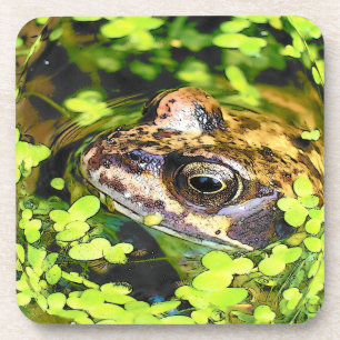 FROG GETRÄNKEUNTERSETZER