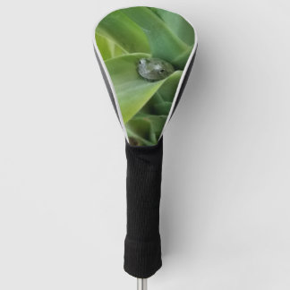 Frog Golf Club Cover Headcover