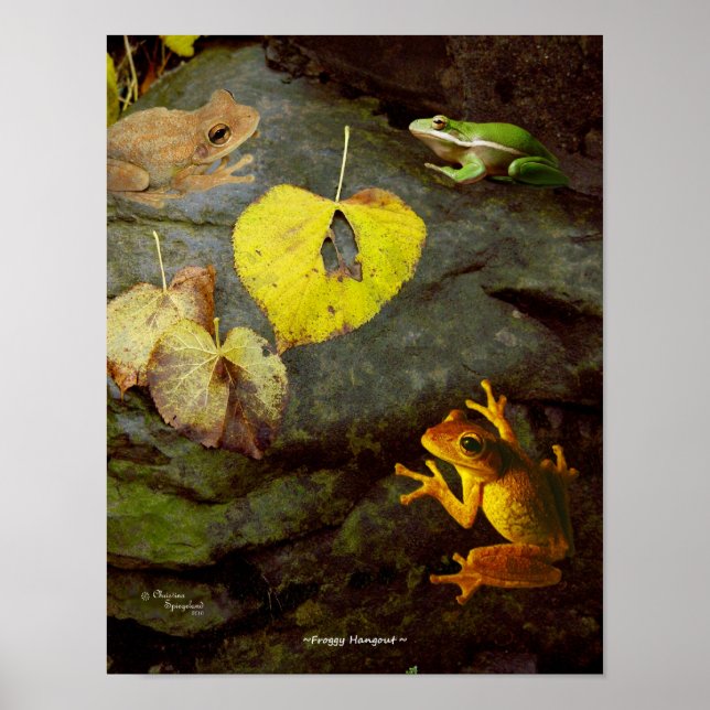 Frog Hangout Poster (Vorne)
