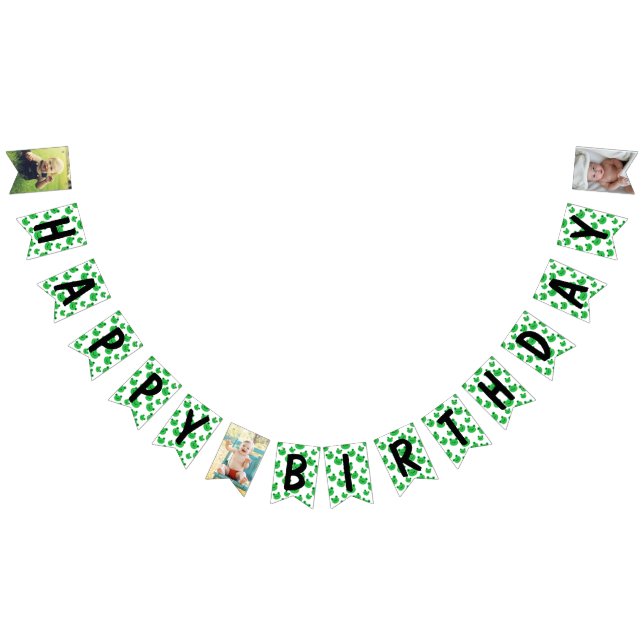 Frog Happy Birthday Wimpelkette (Alle)